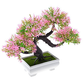 Chậu Cây Bonsai Giả Để Bàn Trang Trí