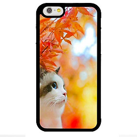 Ốp lưng cho điện thoại Iphone 6 mẫu CB 53 - Hàng chính hãng