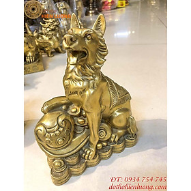 Mua Chó Đồng Phong Thủy