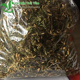 Mua 1kg hoa đu đủ đực