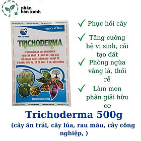 Mua TRICHODERMA  nấm đối kháng  hạn chế vàng lá  nấm bệnh  dùng ủ phân  cải tạo đất  phục hồi cây