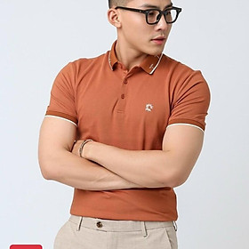 Áo thun nam King168 , áo phông polo nam cao cấp ATN36