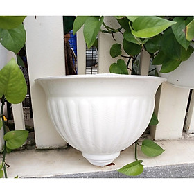 Combo 2 chậu hoa ốp tường lớn trắng 30 x 20cm