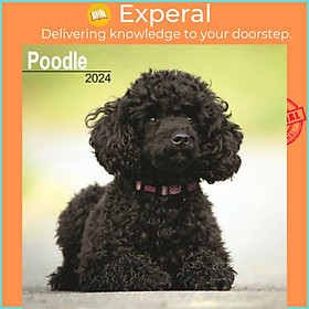Sách - Poodle Calendar 2024  Square Dog Breed Wall Calendar - 16 Month by  (UK edition, paperback)