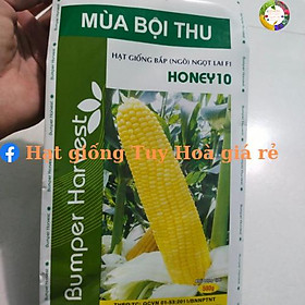 Hạt giống ngô ngọt mùa bội thu Honey 10 gói 500 gram