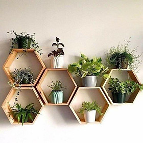 Mua Kệ gỗ trang trí hình tổ ong