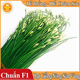 Mua Hạt giống Rau Hẹ Ta ( Gói 1 Gram ) - Nông Sản Vàng