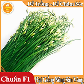 Hạt giống Rau Hẹ Ta ( Gói 1 Gram ) - Nông Sản Vàng