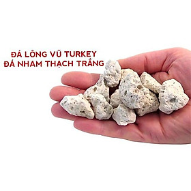 100gr Đá lông vũ 1-2cm Đá bọt Nham thạch trắng Pumice, phụ kiện lọc nước hồ cá cảnh thủy sinh chất lượng cao