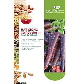 Hạt giống cà rốt tím F1