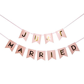 Romantic JUST MARRIED Garland Banner Wedding Bunting Photo Props Decoration