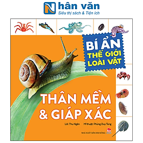 Bí Ẩn Thế Giới Loài Vật: Thân Mềm Và Giáp Xác