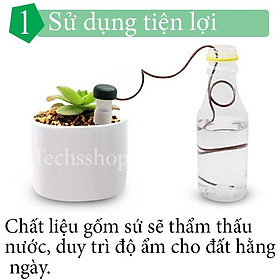 Dụng cụ tưới cây nhỏ giọt tự động -Tưới cây tự động mini - Bộ 2 cái