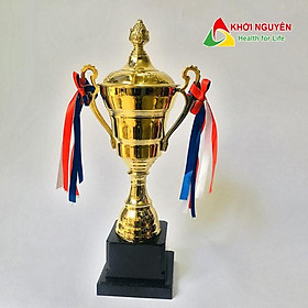 Cúp kim loại cao cấp T-157 Đế nhựa + Free in tem Logo giải đấu