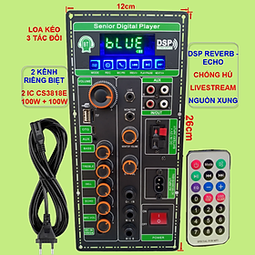 Mua Mạch loa kéo 2 kênh Livestream DSP Reverb – Echo Chống hú 2 IC CS3818E 100W + 100W – Loa kéo 3 tấc đôi