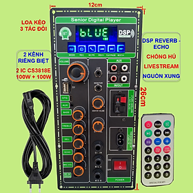 Mạch loa kéo 2 kênh Livestream DSP Reverb – Echo Chống hú 2 IC CS3818E 100W + 100W – Loa kéo 3 tấc đôi