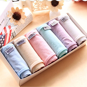 Quần Lót Nữ Combo 06 Cái Cotton 06 Màu Độc Lập
