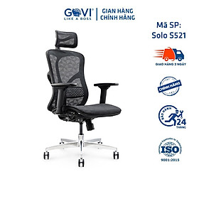 Mua Ghế công thái học GOVI Ergonomic Solo S521 Thiết kế bảo vệ sức khỏe