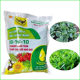 Phân Bón NPK 30-10-10 Kích Ra Rễ, Giúp Nảy Chồi, Ra Lá, Tăng Trưởng Mạnh - Gói 1kg