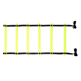 Athlete Grade  Agility Ladder Foot Quick Ladder with Durable Rungs, Easy to Set Up and Consistent Workout