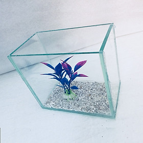 Bể cá mini để bàn 15x10x15cm - Tặng phụ kiện