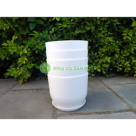 5 Chậu Nhựa Tròn Sứ Trơn 120x95 Có Kèm Đĩa Lót - Nhựa Đức Minh