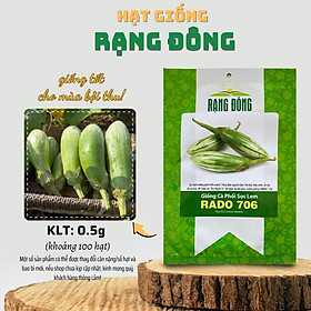Mua Hạt giống Cà Phổi Sọc Lem Rado 706 (0 5g~100 hạt) dễ chăm sóc  chịu nhiệt tốt  phát triển mạnh - Hạt giống Rạng Đông