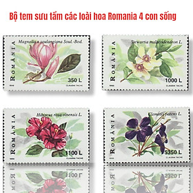 Bộ tem sưu tầm các loài hoa Romania 4 con sống.