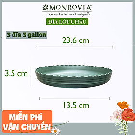 Combo 3 Đĩa lót chậu nhựa trồng cây MONROVIA 3 GL, chậu trồng cây, chậu cây cảnh mini, để bàn, treo ban công, treo tường, cao cấp, chính hãng thương hiệu MONROVIA