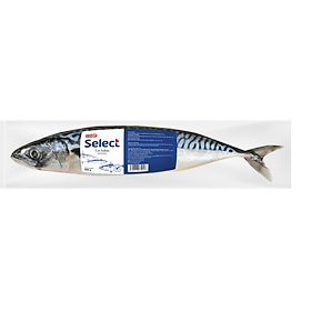 [Chỉ giao HCM] Cá saba Nhật không tẩm Co.op Select 500g - 3172246
