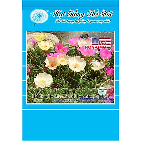 100h Hạt Giống Hoa Mười Giờ Mỹ Đơn - Mix (Portulaca)