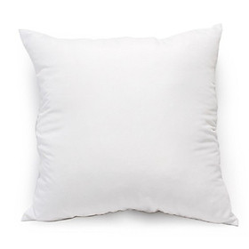 Mua combo 2 ruột gối  hơi cao cấp 40 x 60cm