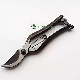 Mua Kéo cắt cành thép đúc nguyên khối