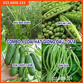 Bộ 4 Hạt Giống Đậu Đỗ Dưa Chuột( Đậu Bắp Xanh - Đậu Hà Lan - Đậu Đũa - Dưa Chuột Chùm)