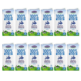 THÙNG 12 HỘP SỮA TƯƠI TIỆT TRÙNG KHÔNG ĐƯỜNG VINAMILK NHẬP KHẨU 100% - HỘP 1L