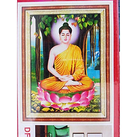 tranh đính đá Phật ngồi gốc bồ đề 59x80cm - chưa đính