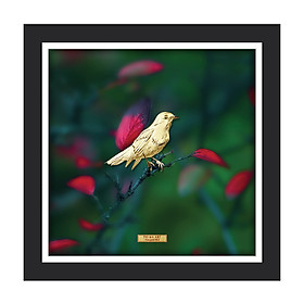Mua Tranh Vàng 24K PRIMA MART - Chim Vàng Như Ý - Kích Thước 35 x 35 cm - CGS-0796-01