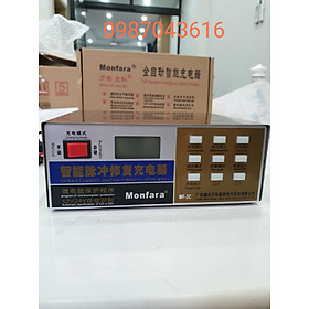 Mua Nạp ắc quy công suất  100AH  hãng Monfara