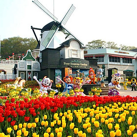 Vé Tham Quan Công Viên Everland Hàn Quốc