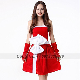 Thuê đầm noel nữ ở đâu HCM DiVit là nơi có sẵn nhiều mẫu mới đẹp mắt