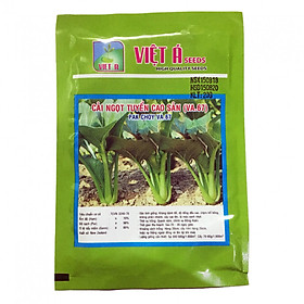 Hạt giống rau Viet A: Cải ngọt tuyển cao sản 20g