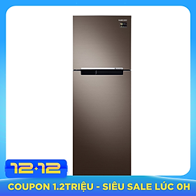 Tủ Lạnh Inverter Samsung RT25M4032DX/SV (256L) - Hàng chính hãng