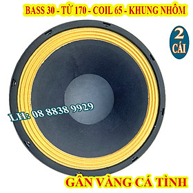 Hình ảnh CẶP LOA BASS 30 B3 TỪ 170 COIL 76 AUDIO GÂN VÀNG - GIÁ 2 LOA