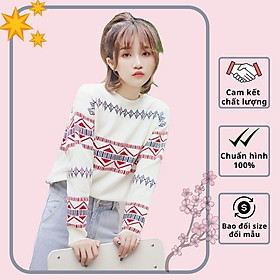 Hàng Quảng Châu - Áo len noel hoa văn thổ cẩm dành cho nữ siêu cute - dl22245