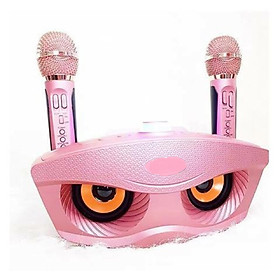 Loa hát karaoke bluetooth 306 kèm 2 mic