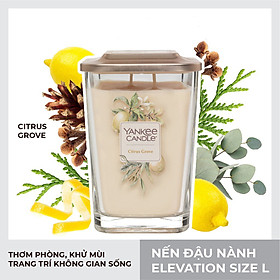 Nến ly vuông Elevation Citrus Grove - Size L