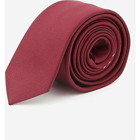 Cà Vạt Nam Họa Tiết Hoa Titishop CA4 (140 x 5.5 cm)