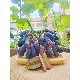 Nho đen ngón tay - 500gr - Giao hoả tốc, đảm bảo tươi ngon
