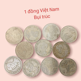 Mua  chất lượng sáng  10 đồng bông lúa chuẩn xưa biểu tượng nông nghiệp Việt Nam.