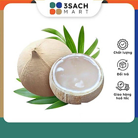 Dừa tươi tiện lợi Safe Fruits - 1 Trái - Vị Ngọt, Thanh mát